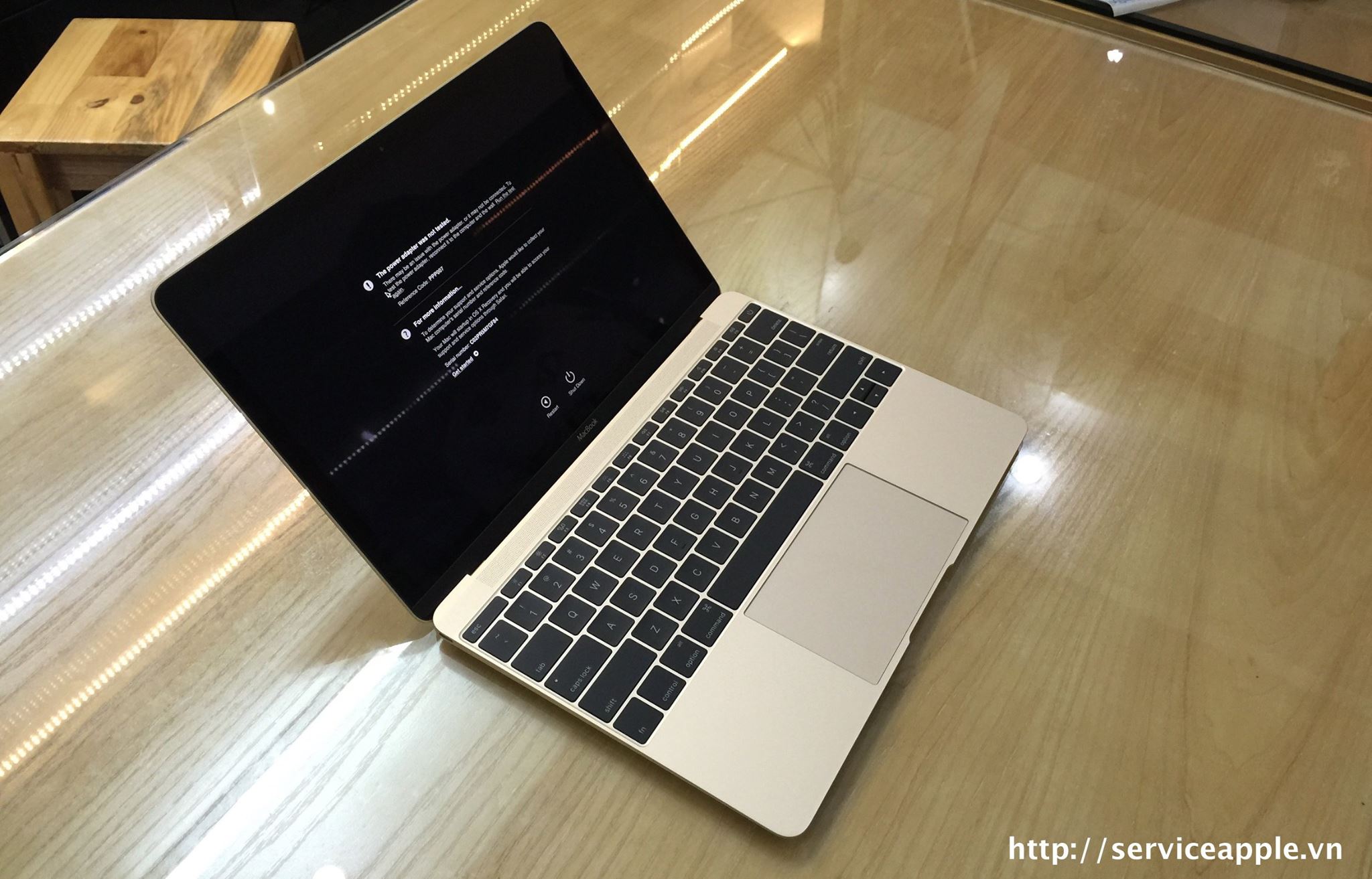The New MacBook 12 inch GOLD - MK4N2_5.jpg